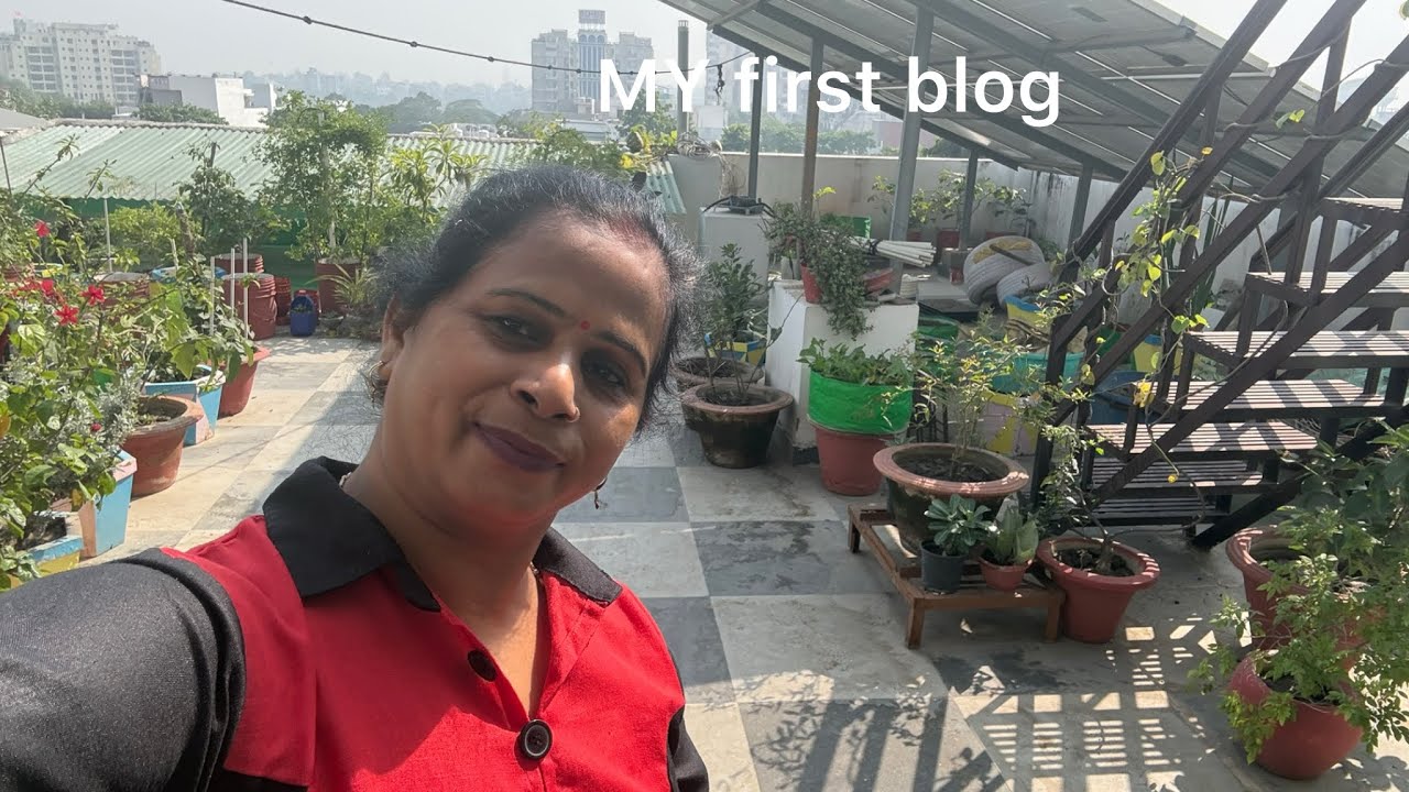 My beautiful Terrace garden / my first blog, ￼￼