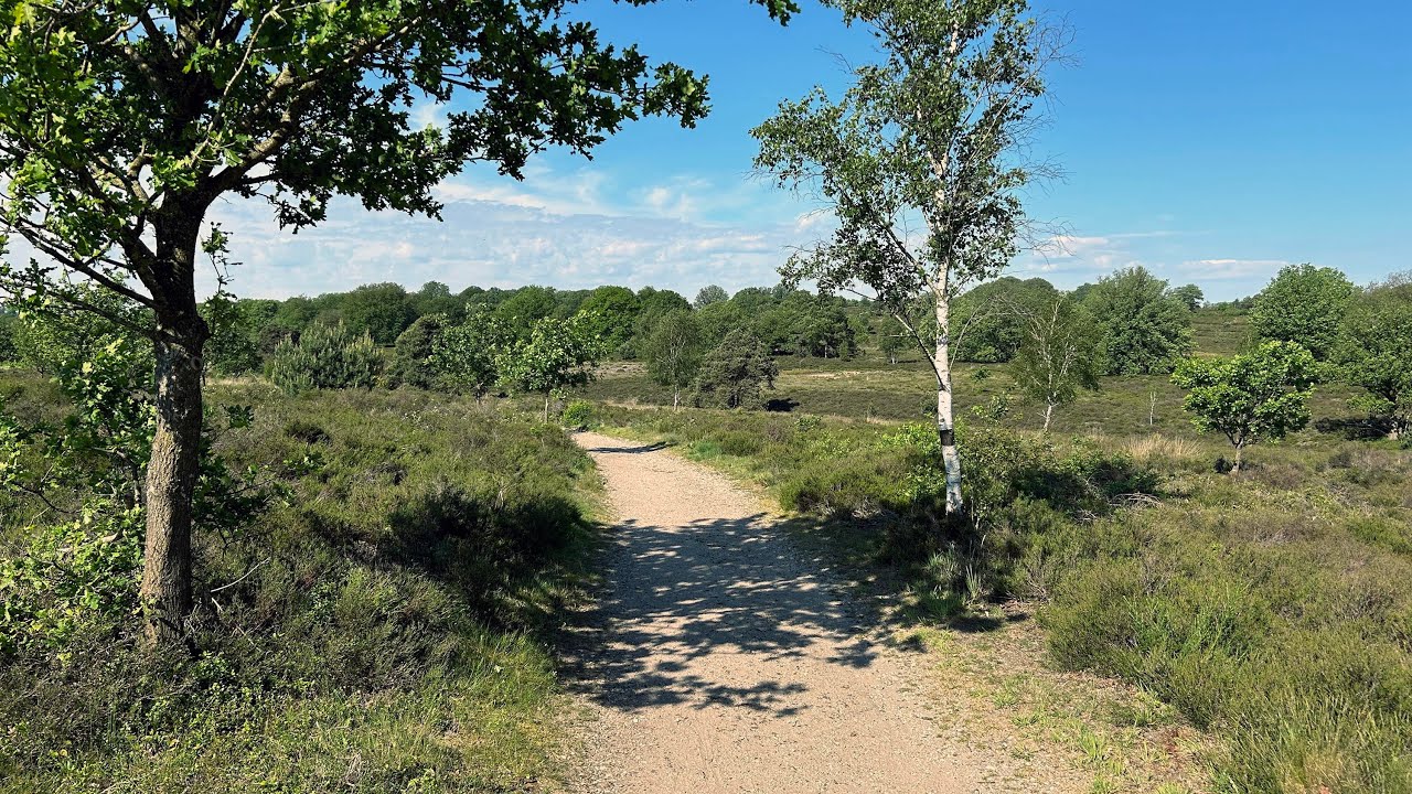 Wandelen over het Pieterpad - etappe 11 - Hellendoorn-Holten