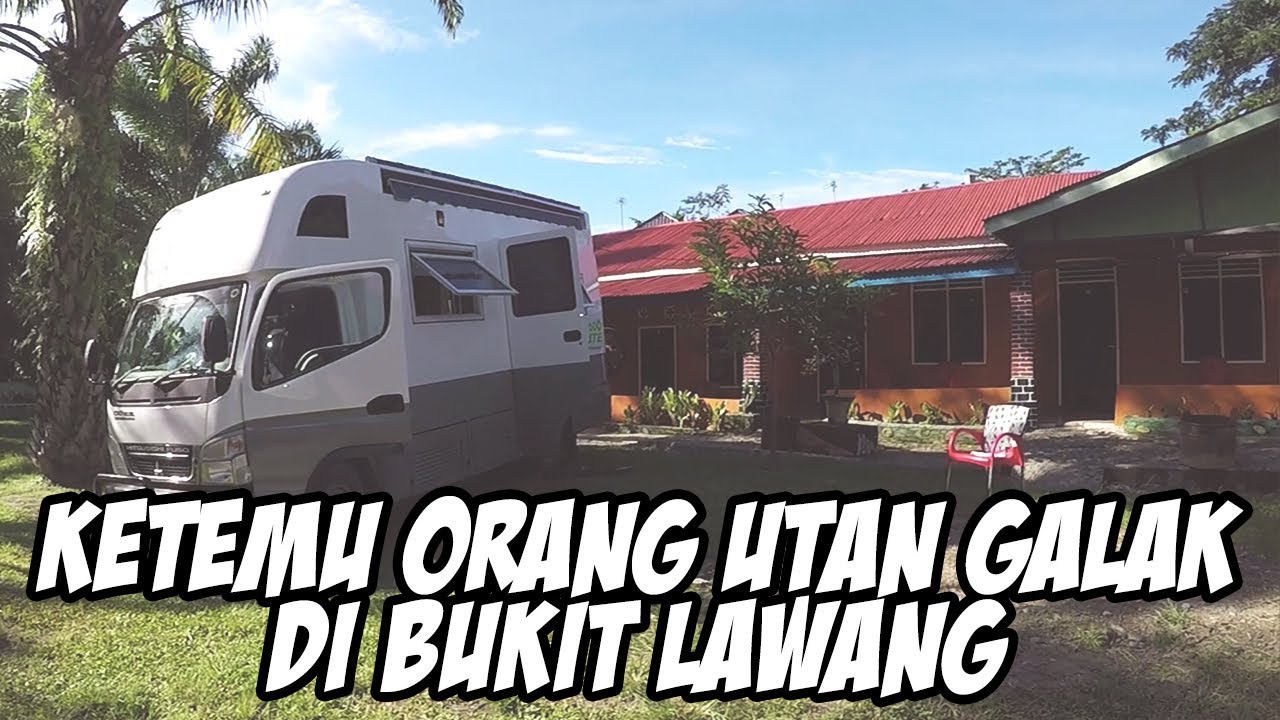 Episode 32 UIT: Bukit Lawang (1) | Keluarga Kusmajadi - Unlocking Indonesia's Treasure
