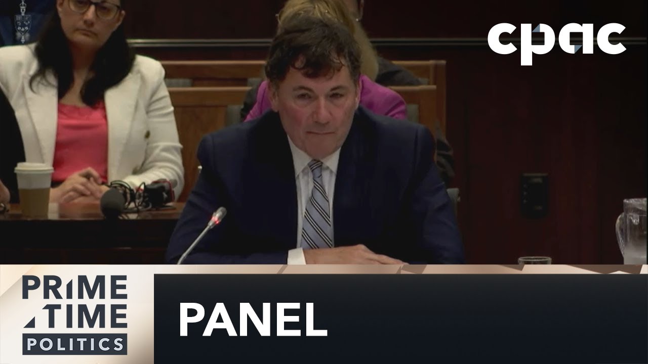 The impact of the NSICOP report on the federal government: political panel – June 6, 2024