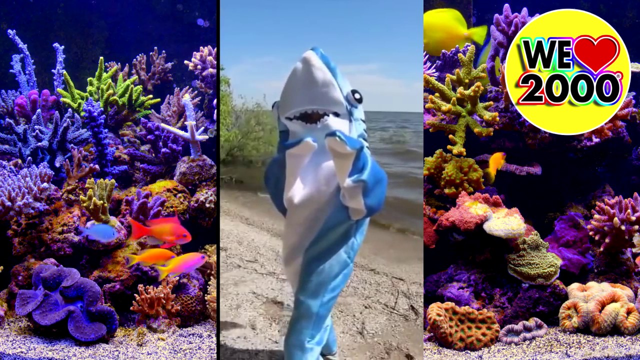 SHARK-IRA #shakira #welove2000 Anni 2000
