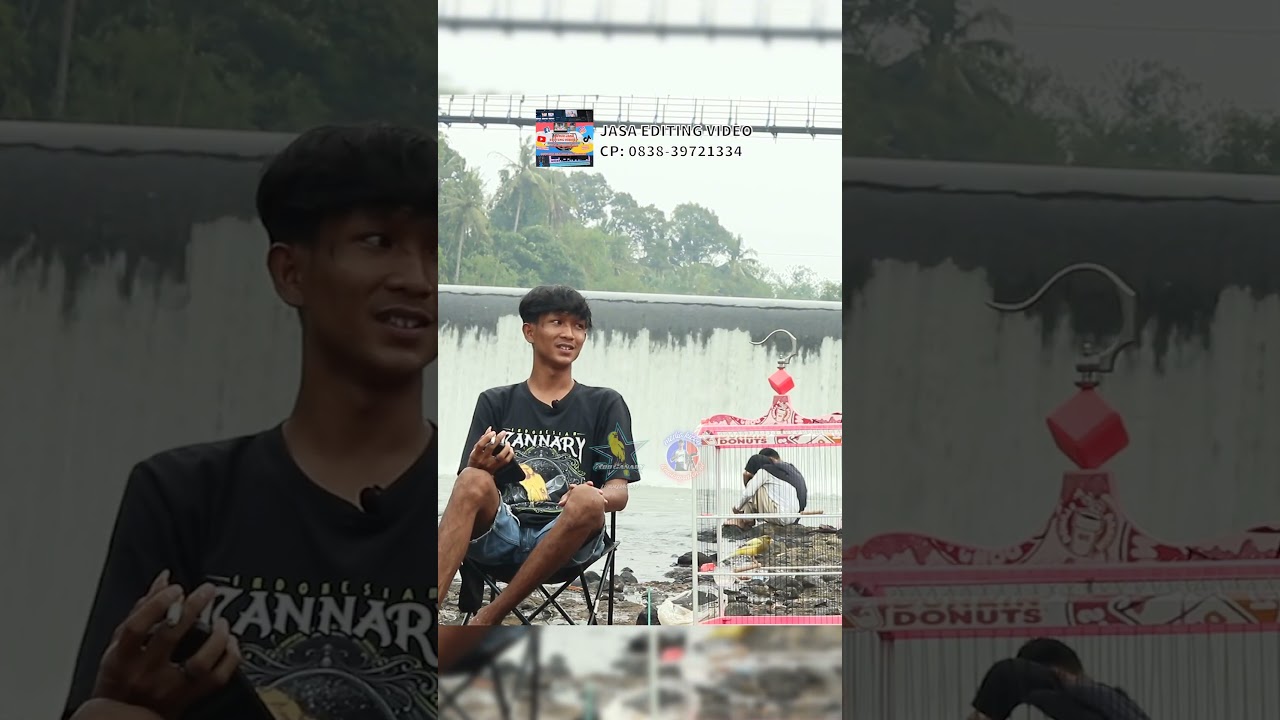 PENYEBAB KENARI NGEPAK SAYAP ATAU KENARI NABRAK JERUJI #kenariklaten #kicaumania