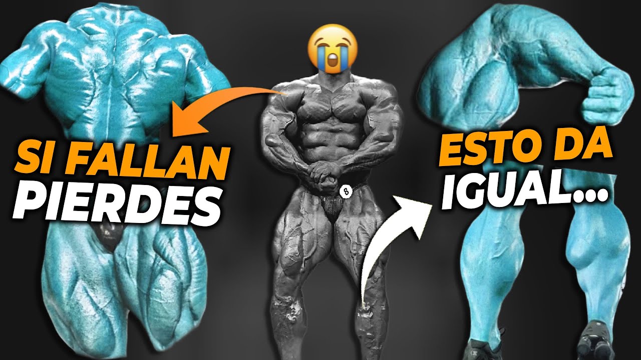 CULTURISMO: Músculos que MÁS importan y los que DAN IGUAL 😅