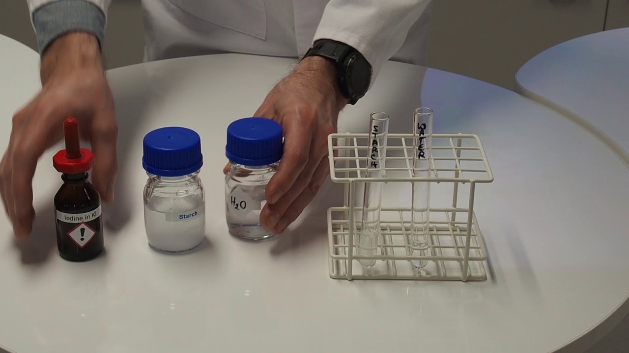 Iodine test for starch IGCSE Biology