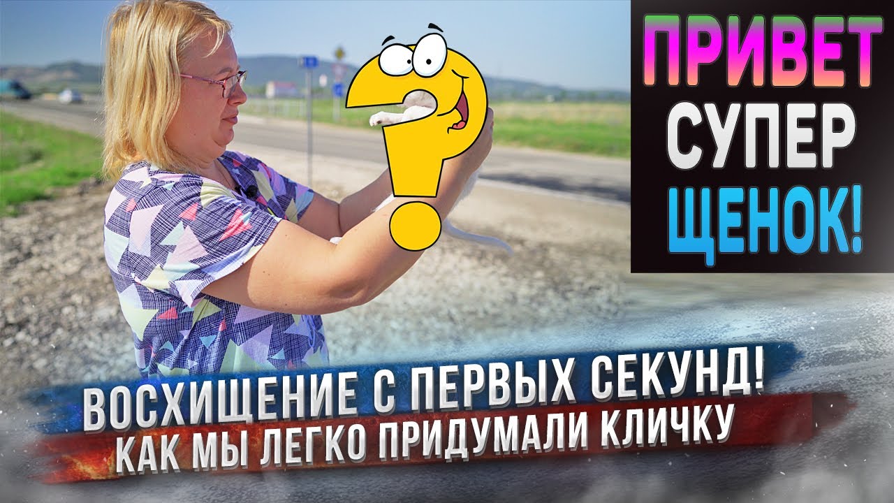 Первая встреча с щенком! Увидев щенка сразу придумали кличку