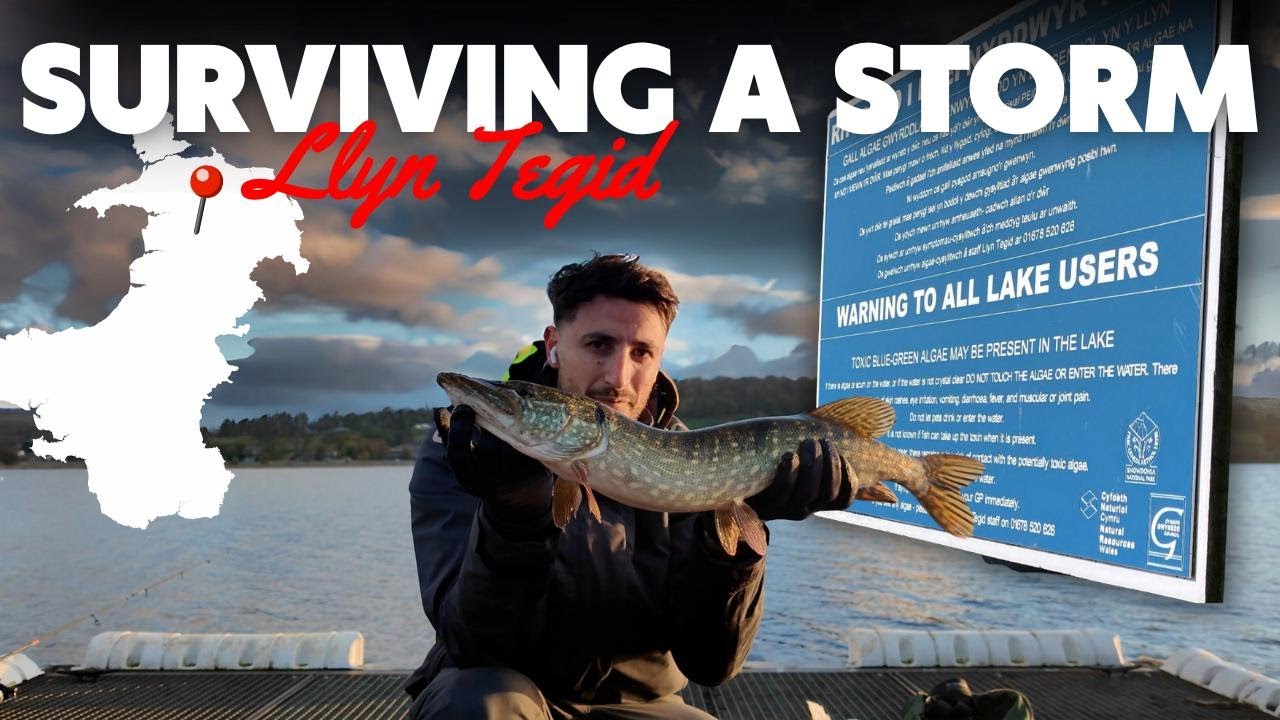 2 Days Pike Fishing Bala Lake (Llyn Tegid) Wales 