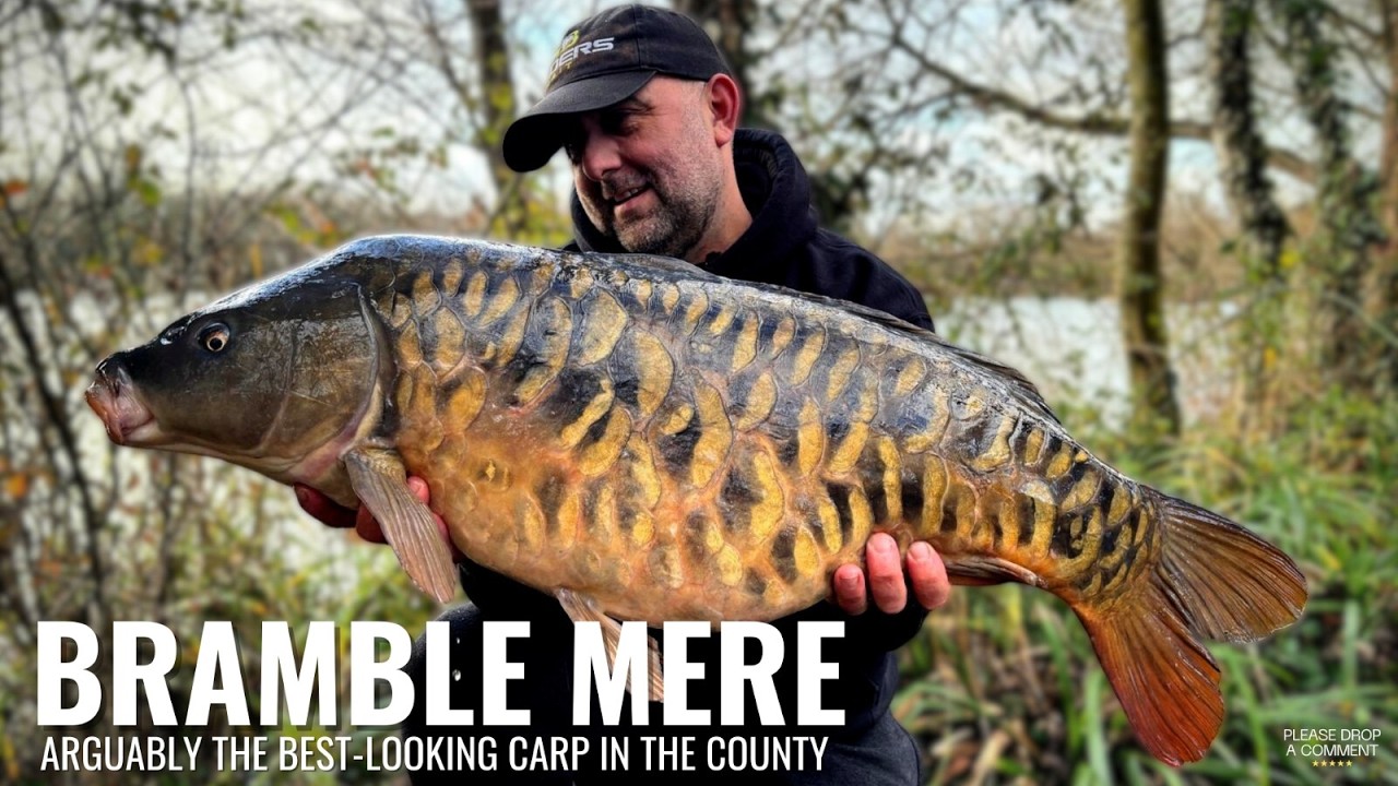 Bramble Mere Winter Session | Tough Conditions but Quality Carp
