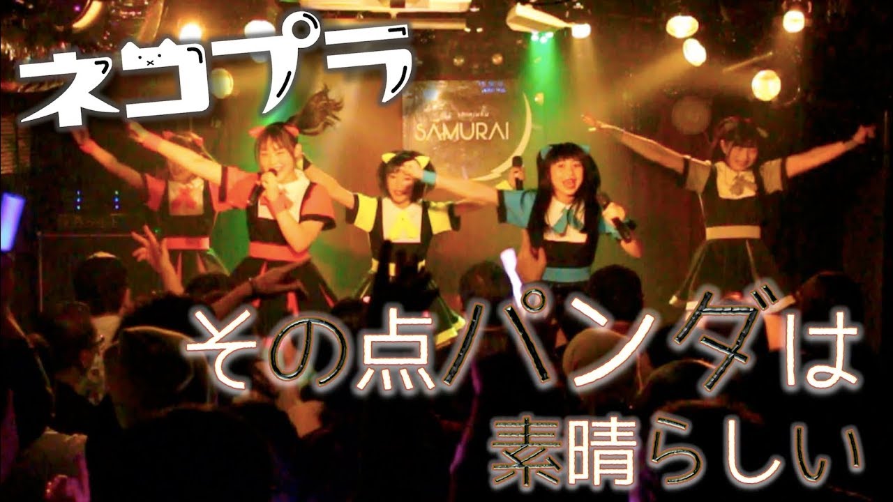【ネコプラ】その点パンダは素晴らしい@2017.11.26再始動LIVE(新宿SAMURAI)