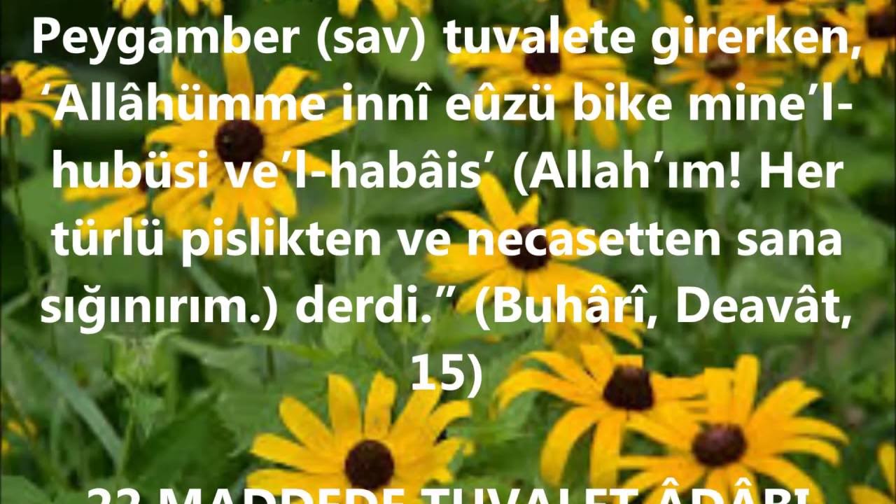 TUVALET ADABI NASIL OLUR