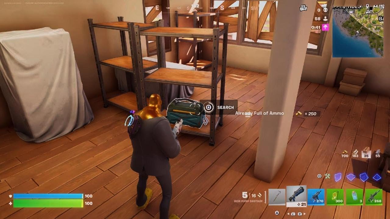 Fortnite_20260204205101