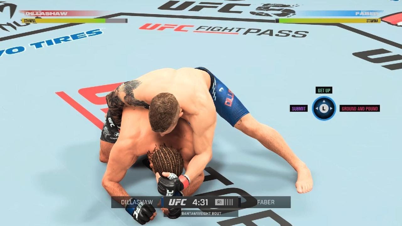Dillashaw VS Faber Bantamweight Fight