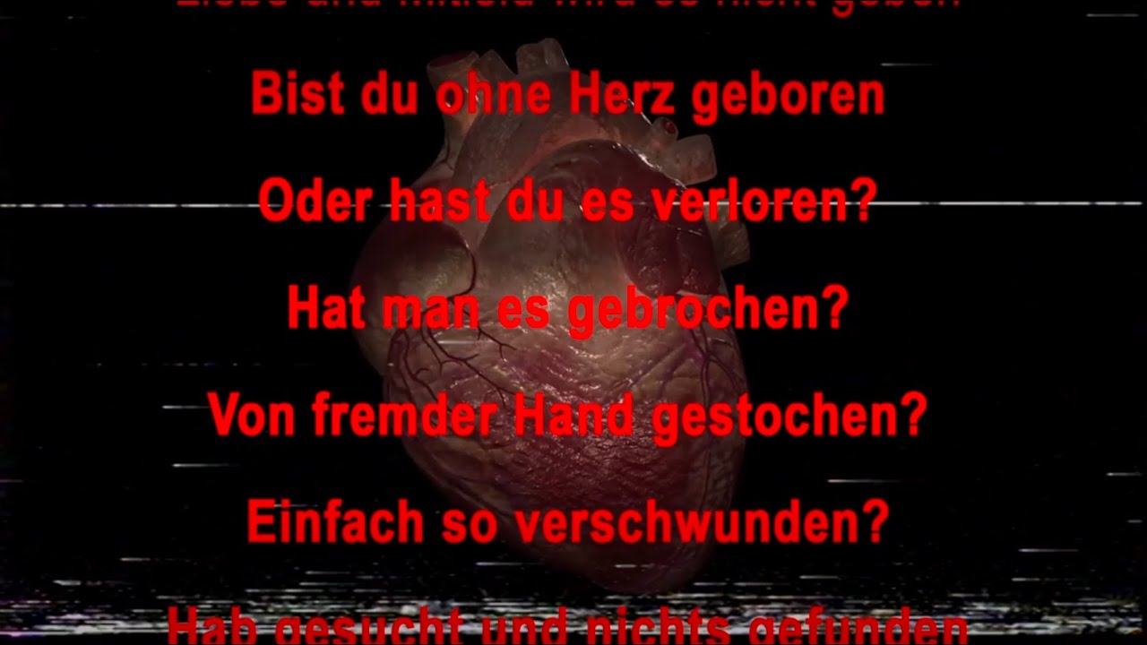 Till Lindemann – Du hast kein Herz  (karaoke)