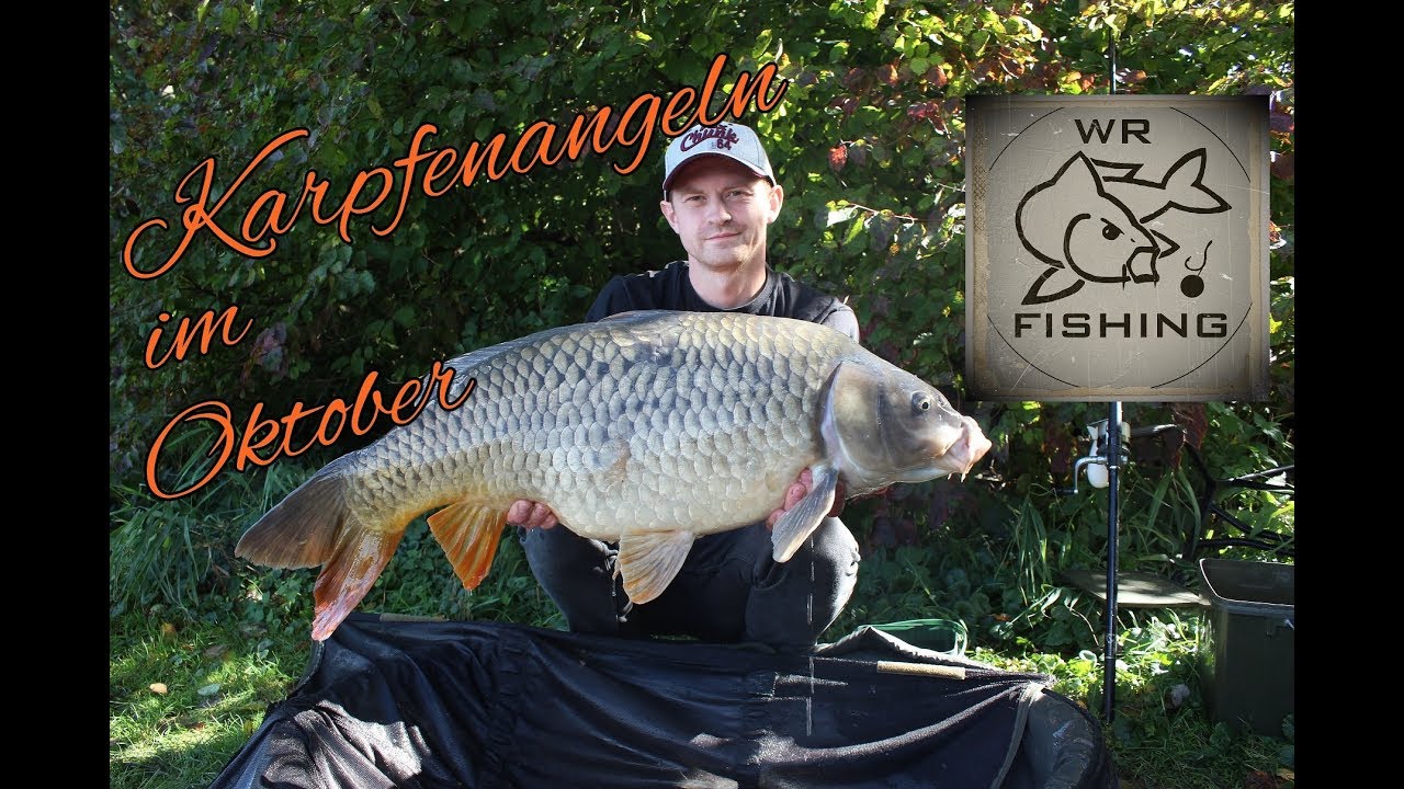 Karpfenangeln im Oktober Traumsession | wr fishing