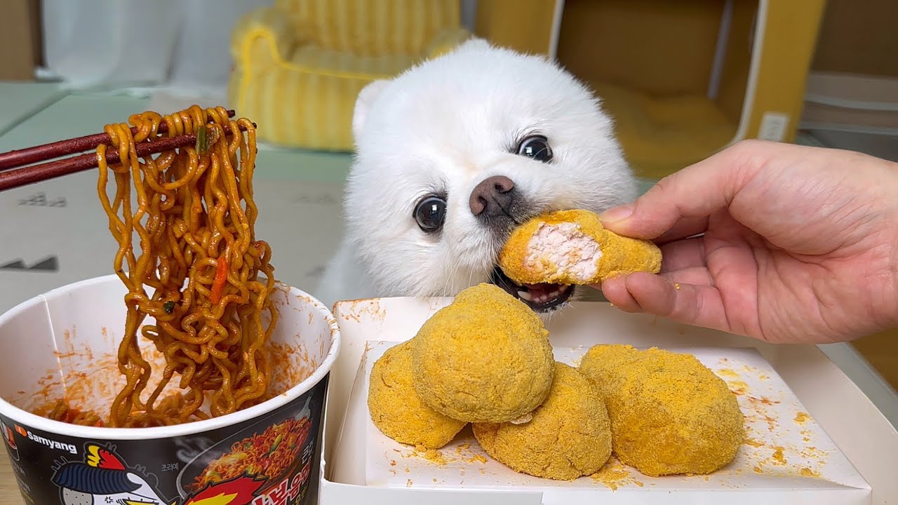 뿌링클 치킨 불닭볶음면 사람보다 잘먹는 강아지 본적 있나요..? 