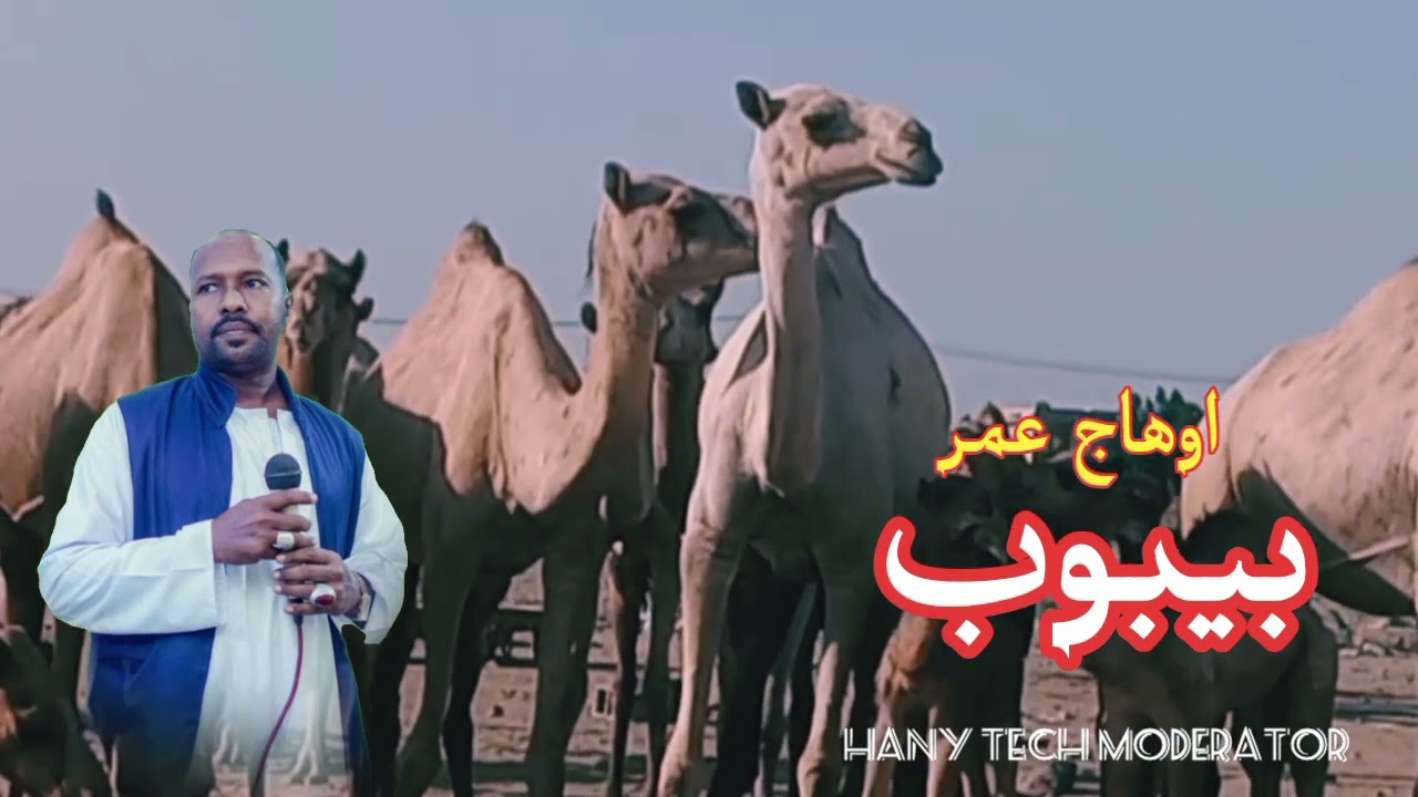اوهاج عمر || بيبوب|| Ohag Omer 