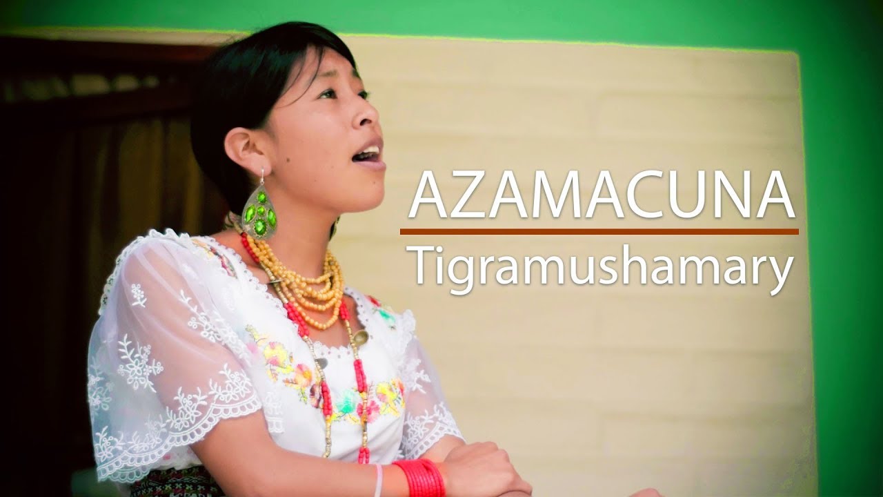 Azamakuna - Tigramushamari (Video Oficial)