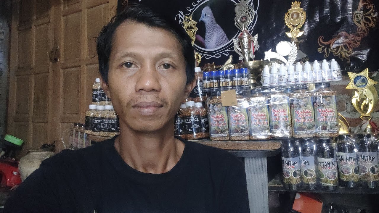 perawatan burung perkutut dan agung nur saladin sedang live sekarang bulan puasa ...
