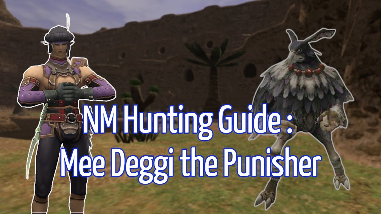 NM Hunting Guide : Mee Deggi the Punisher (WingsXI)