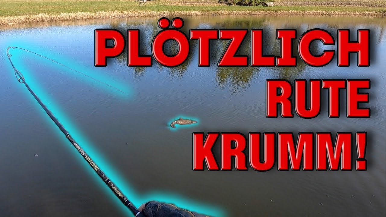 Forellenangeln in Dänemark | Silstrup Put & Take