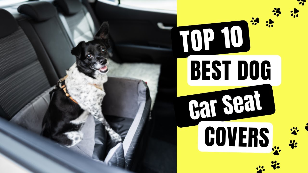 Top 10 Best Dog Car Seat Covers Review 2022