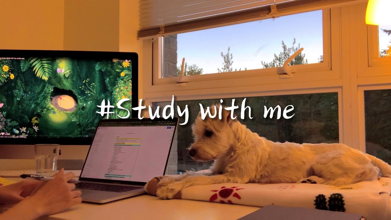 1 HOUR STUDY WITH ME & MY DOG | Background noise, no break, no music