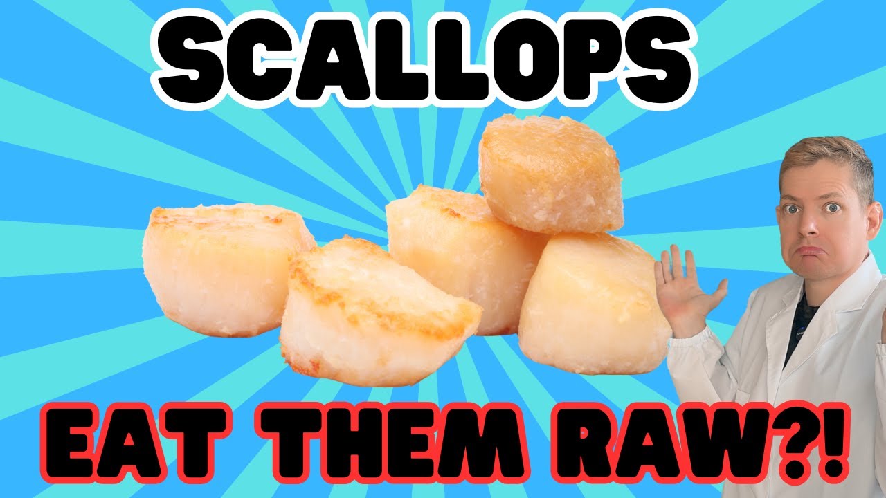 The Truth About Raw Scallops - MUST WATCH