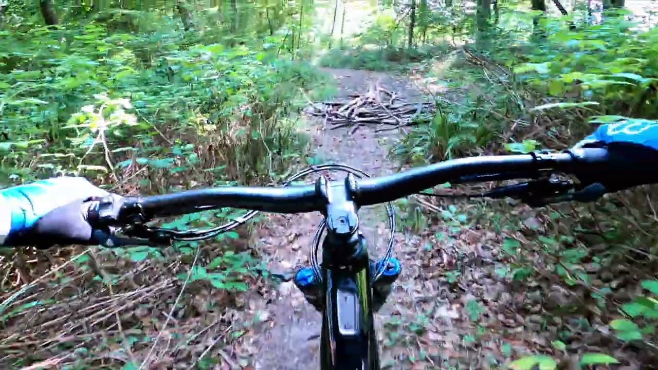Trails um Regensburg weiter erkunden ... E-Mtb Specialized Levo #emtb #trails