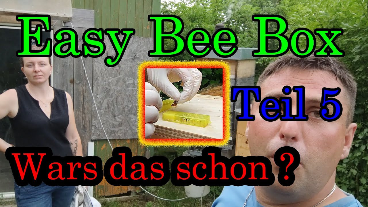 Easy Bee Box Teil 5 War es das schon ? Alte Königin muss gehen