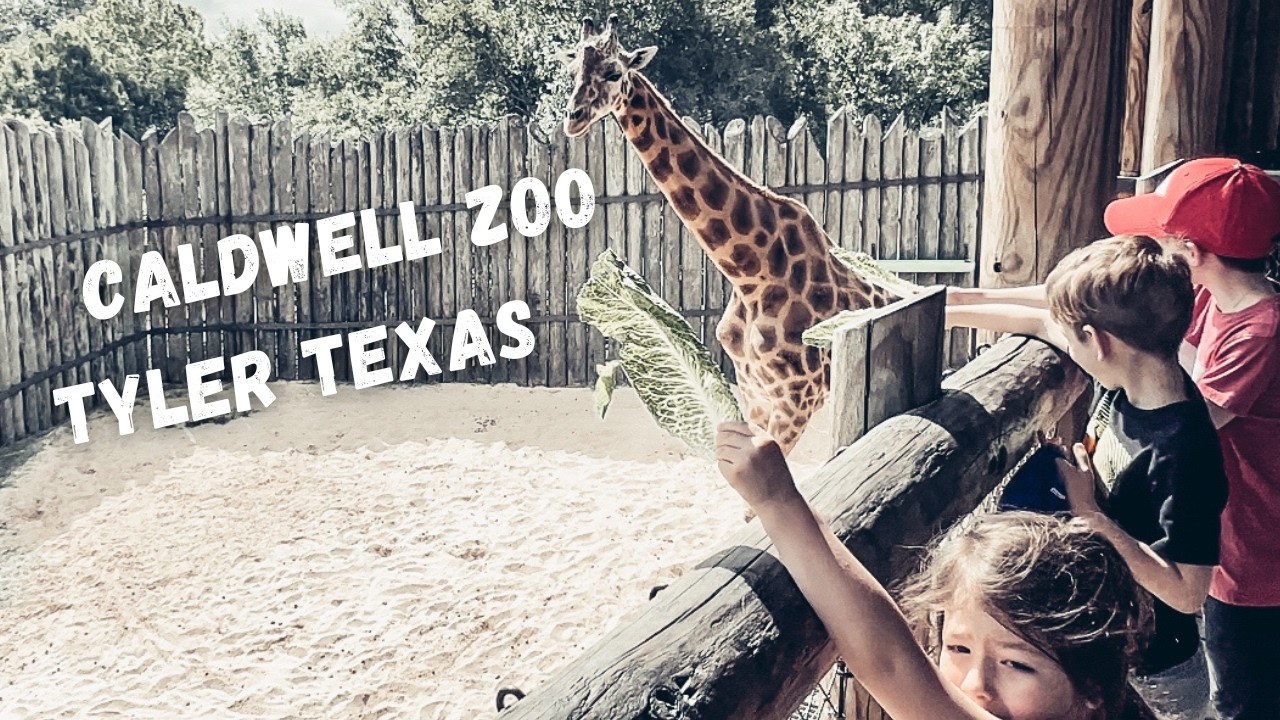 Caldwell Zoo Tyler Texas | Full Tour and Review