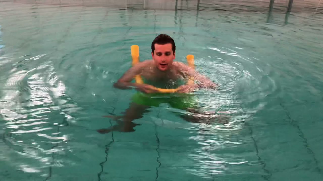 Dolfijn; 3/5 watertrappen met een slurf