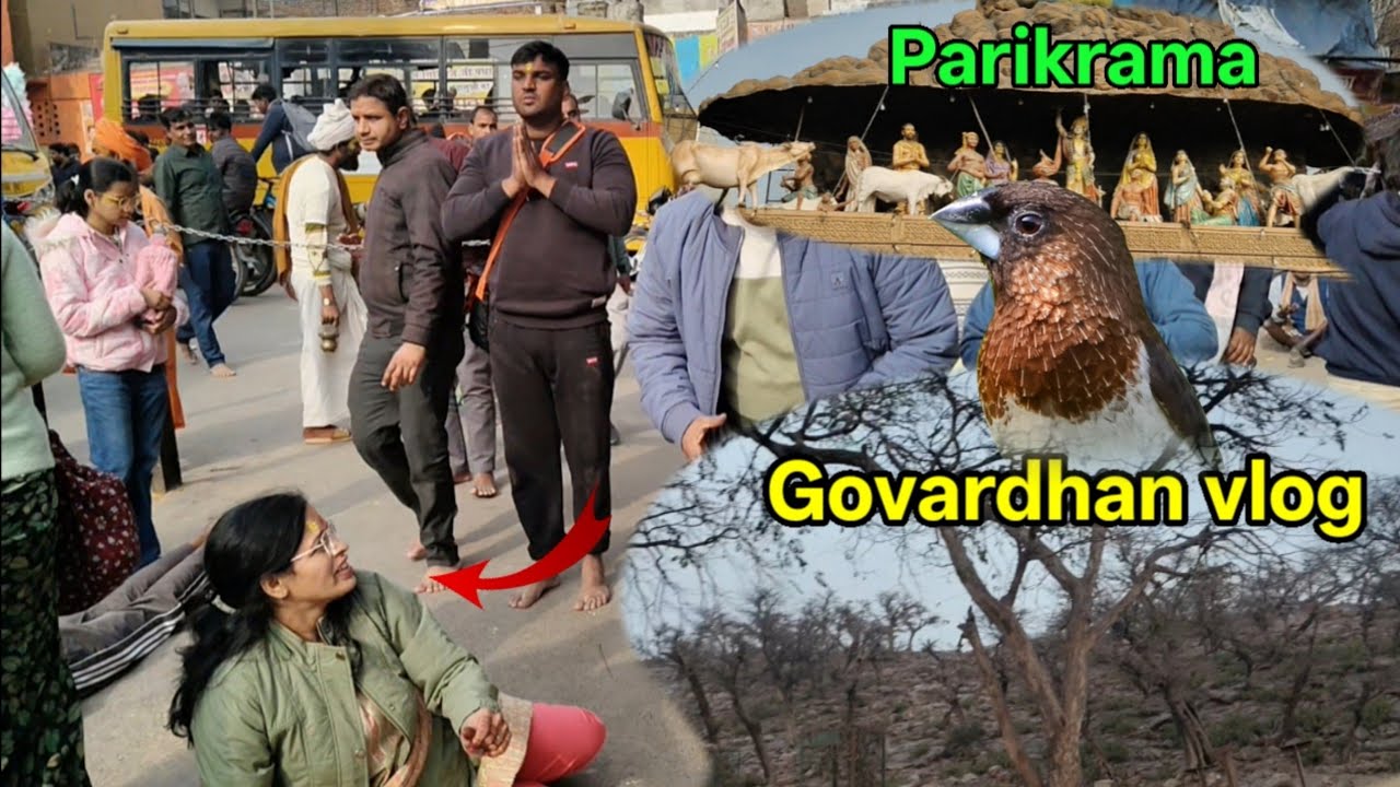 Govardhan parikrama full vlog || mathura || barsana || 🙏😍