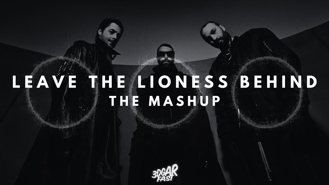 Lioness vs. Leave The World Behind (MEGAMASHUP) - Feat. Various Swedish House Mafia Songs!