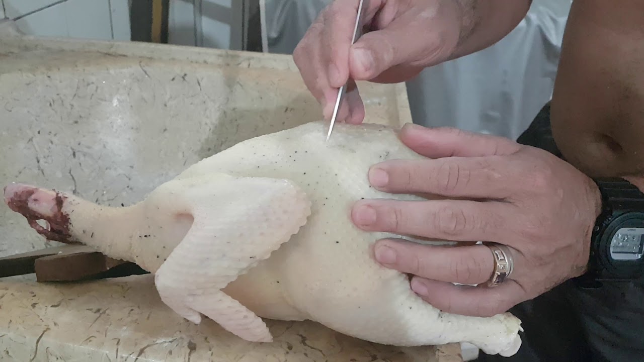 Técnica eficiente de retirada de penugem de aves caipiras