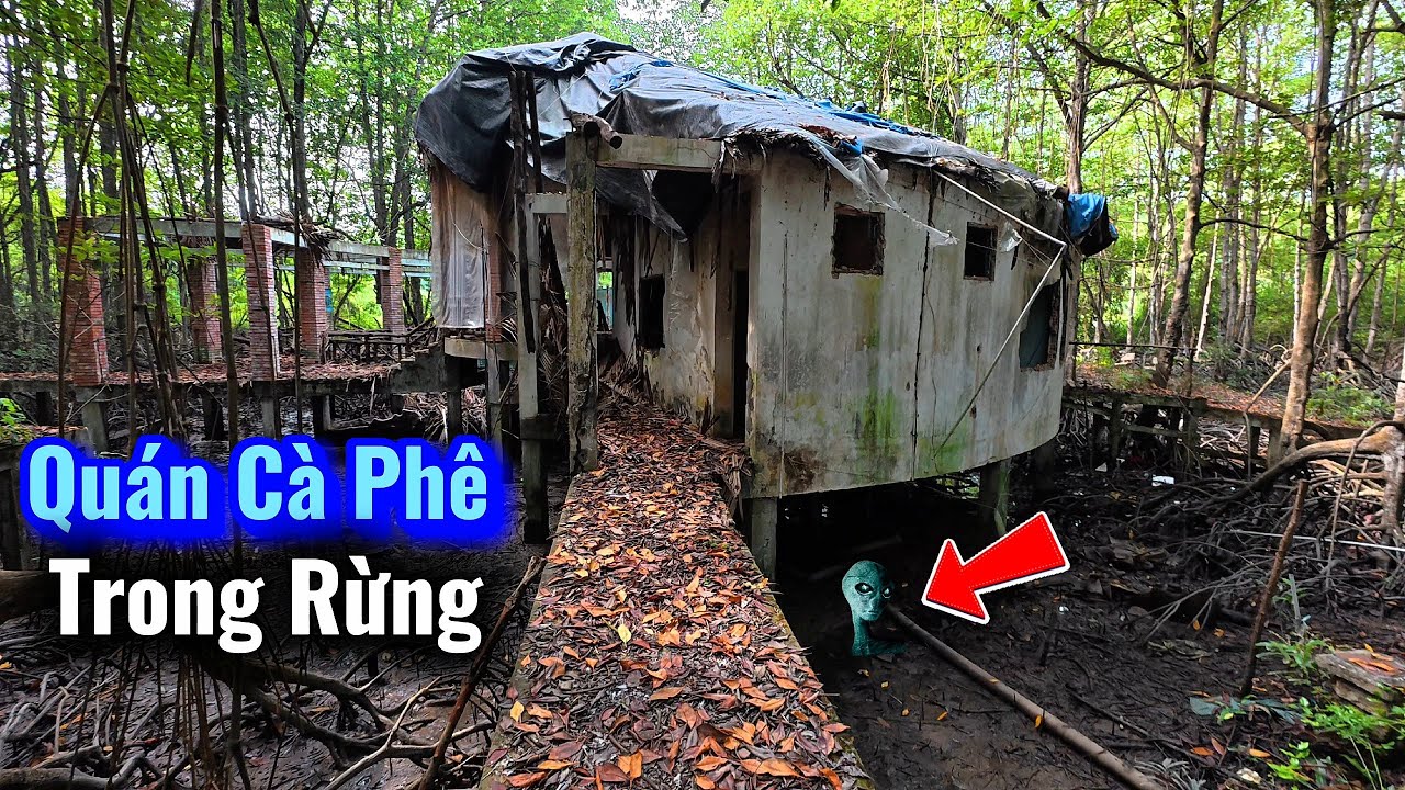 Bí ẩn Quán cà phê bỏ hoang Trong rừng đước ai thấy cũng sợ 
