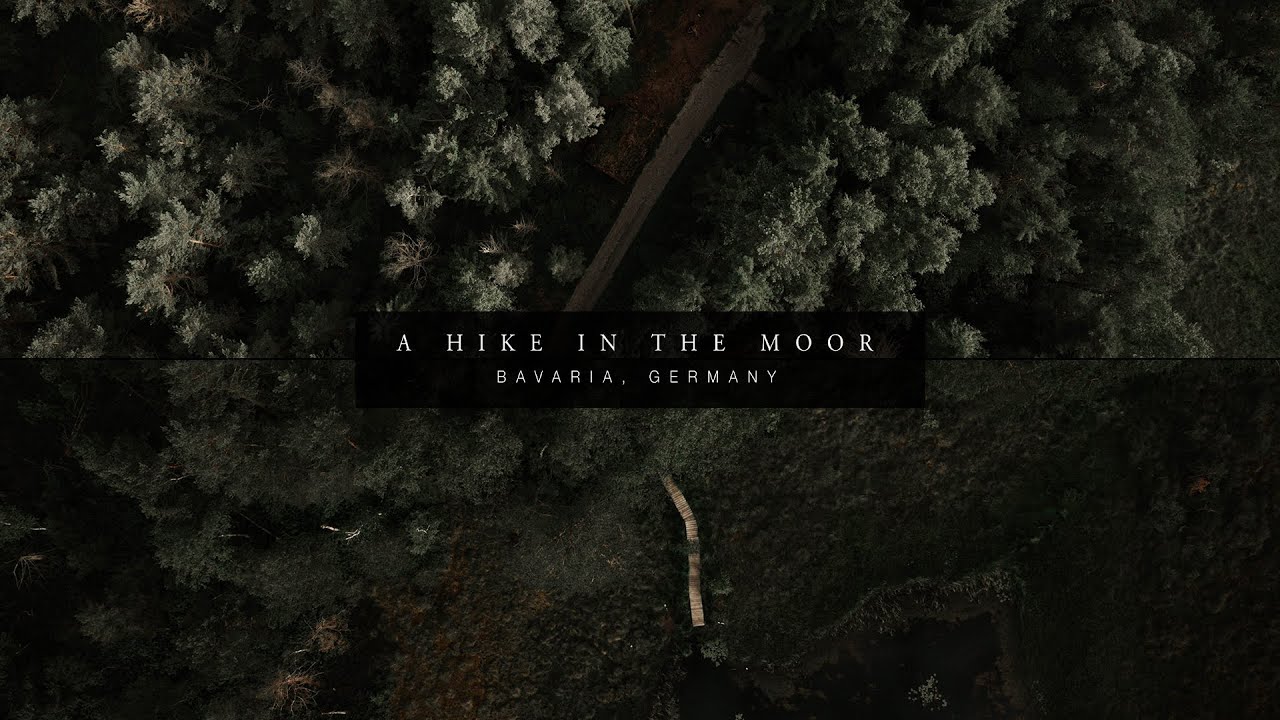 A Hike In The Moor | Bavaria, Germany | Sony A7III