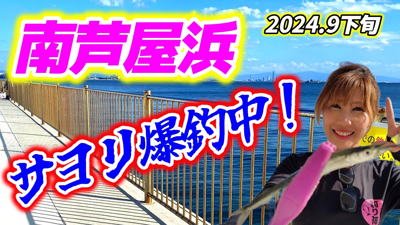 【南芦屋浜】サヨリ爆釣！初心者でも超簡単サヨリ釣り！