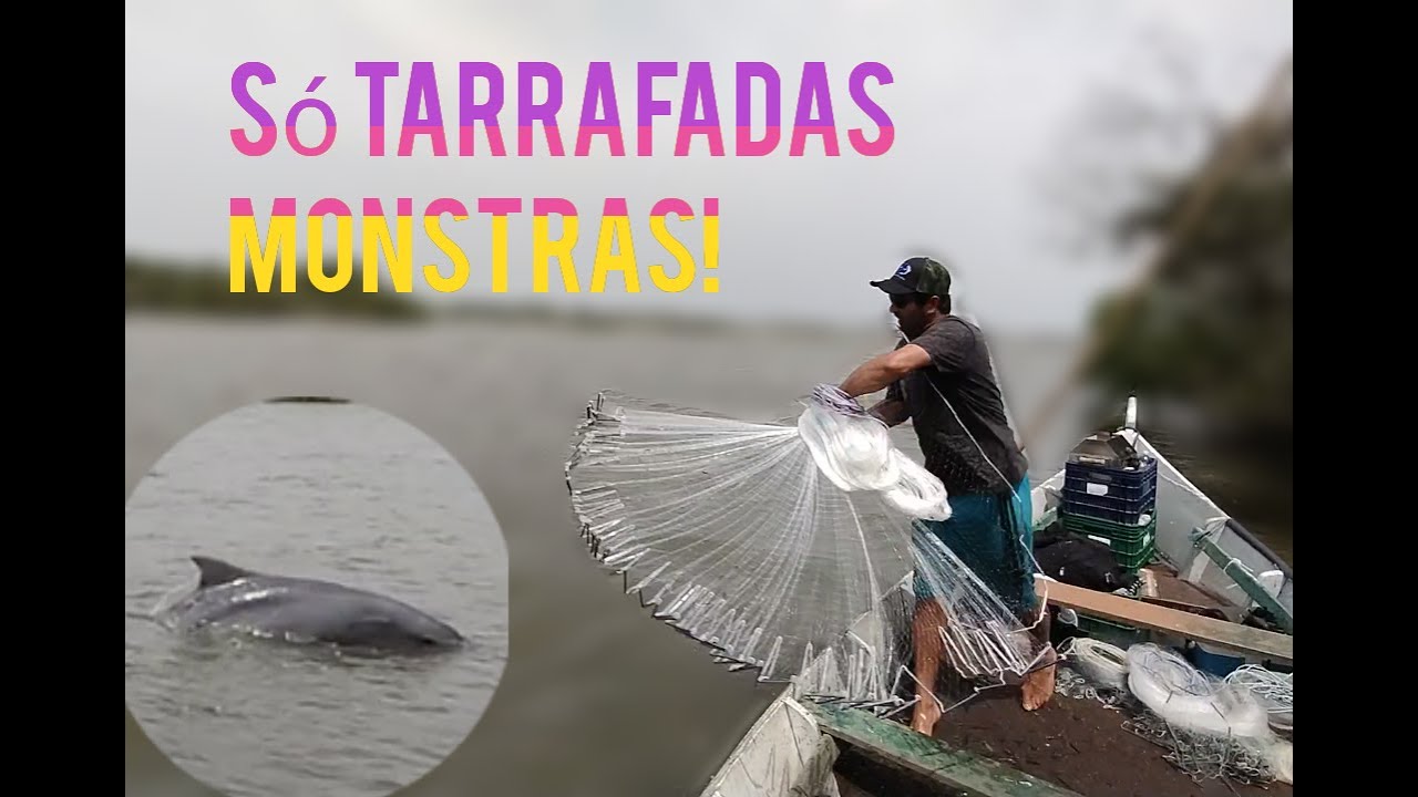 PESCA COM AUXÍLIO DOS BOTOS /  ACOMPANHAMOS UM DIA DE PESCA COM UM PESCADOR PROFISSIONAL  ---  EP.21