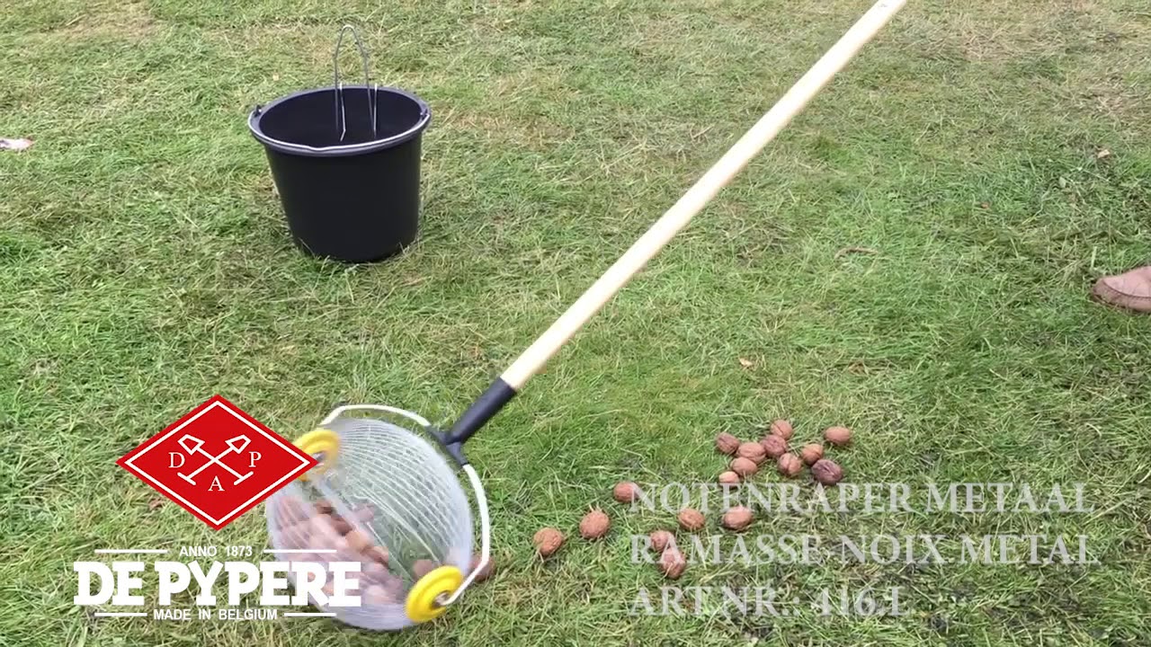 De Pypere: notenraper (ART. 416L)