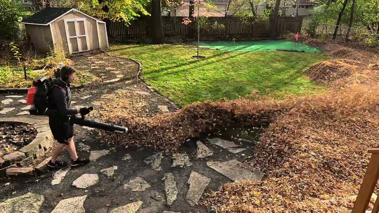 Echo PB9010T vs Minnesota’s Leafiest Yard