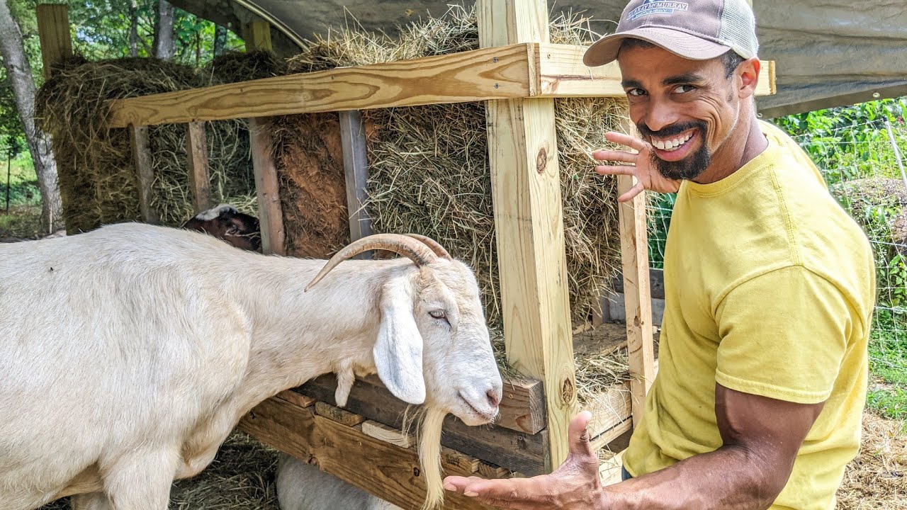 Will This Work for my GOATS?