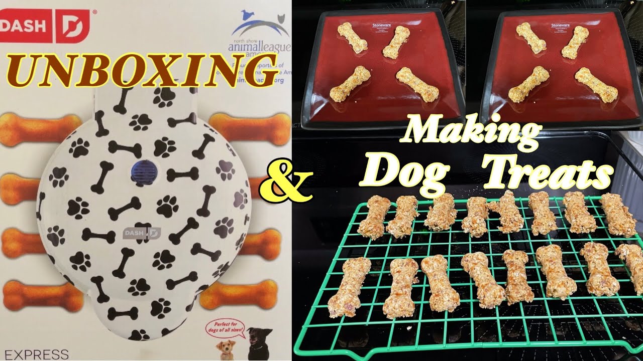 Unboxing Dash Express Dog Treat Maker  and making dog treats