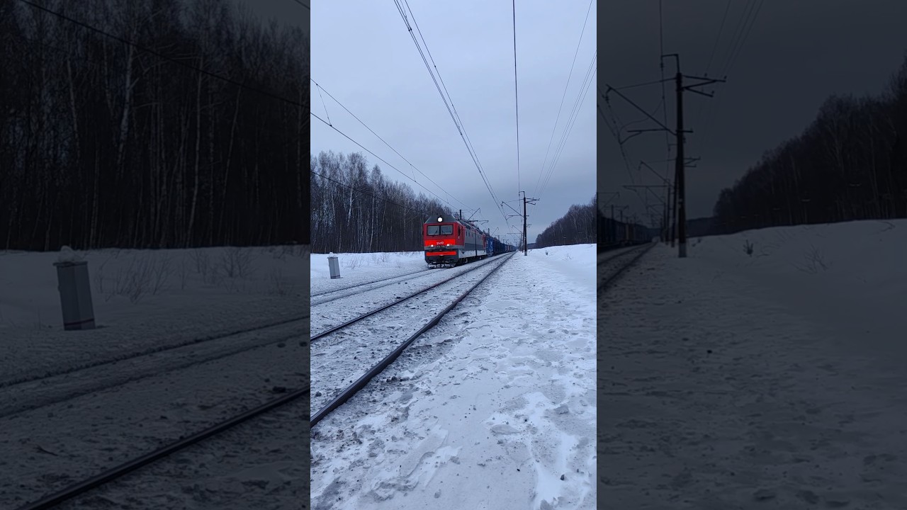 2ЭС6 - 981 с приветливой бригадой проследует о.п. 274км.#мжд #2эс6 #железнаядорога #railway