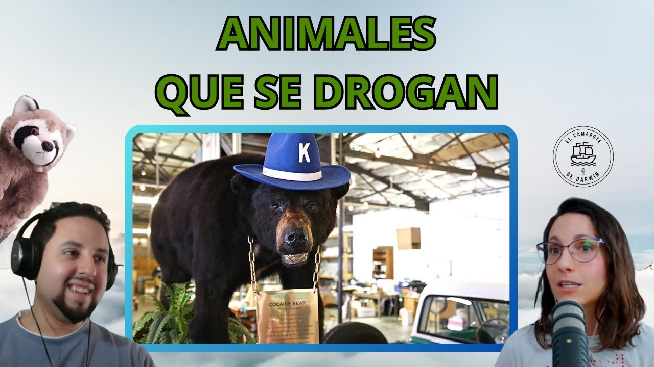 Animales que se Drogan | Charlando en el Camarote