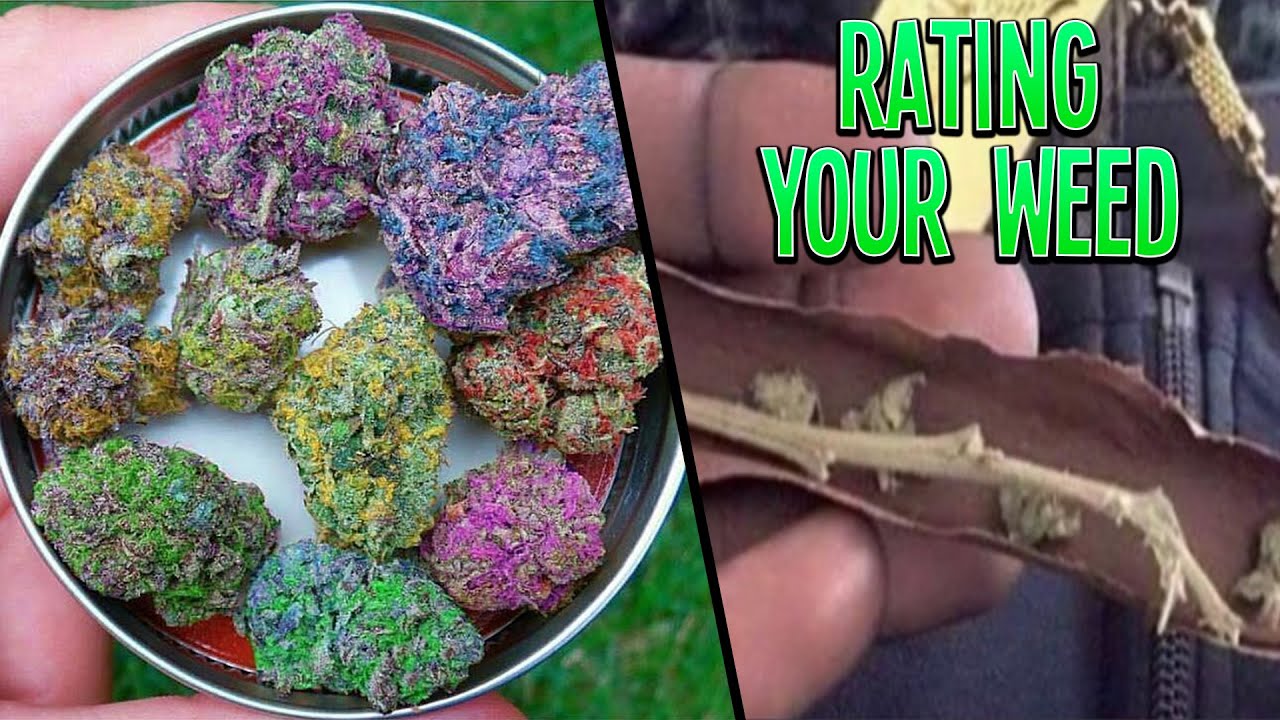 Rating My Subscribers Weed: 4/20 Edition