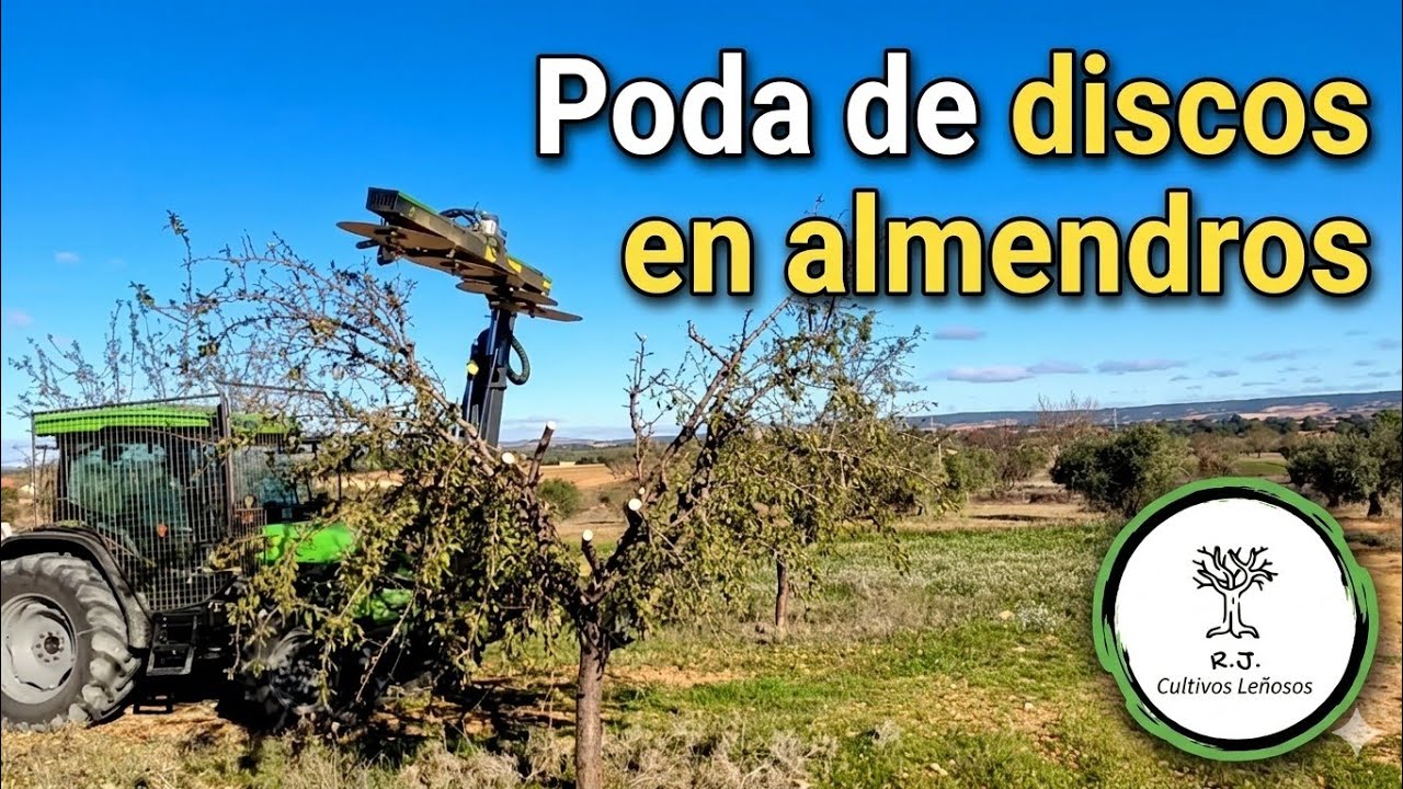 Poda almendros ( pase de discos)