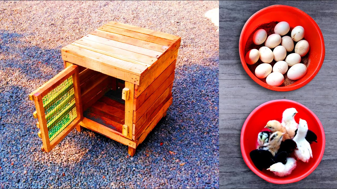 Making Mini Chicken Cage For Hatching Chicken Egg | How To Make Chicken Cage at Home