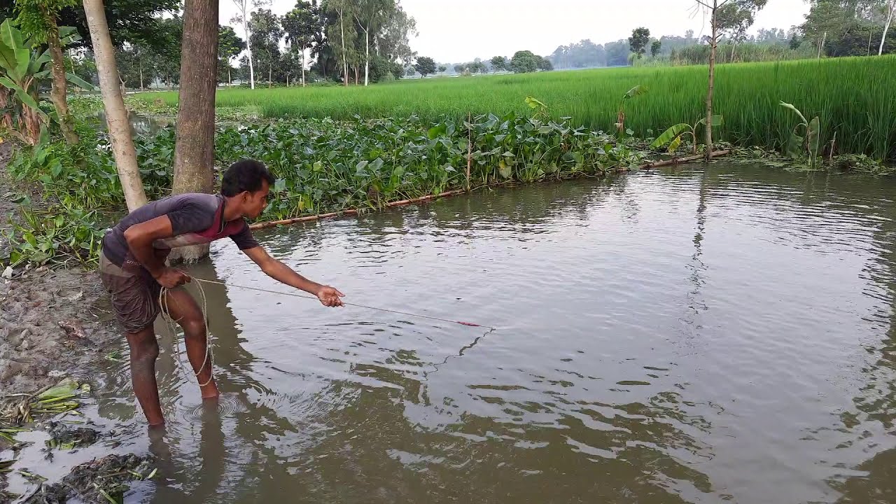 Traditional Fishing bd, Best net fishing-2