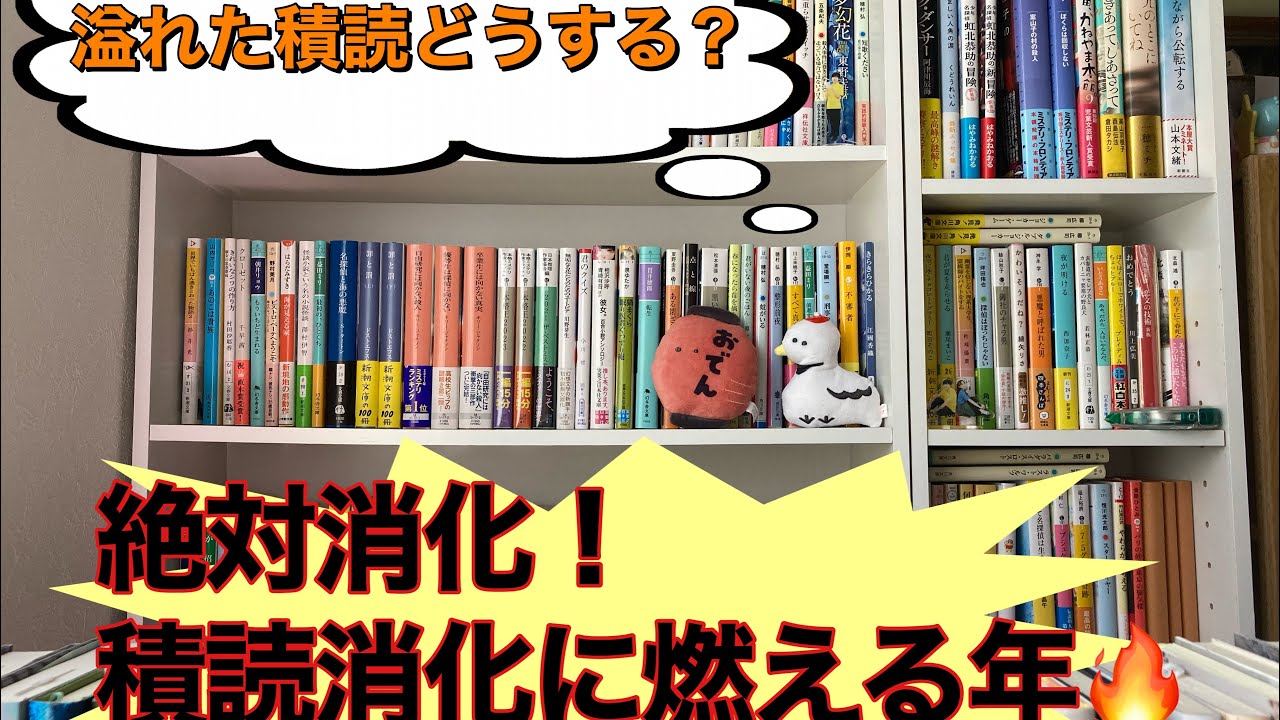 【約300冊の積読？！】今年も約4ヶ月。積読何冊消化できる？🧐
