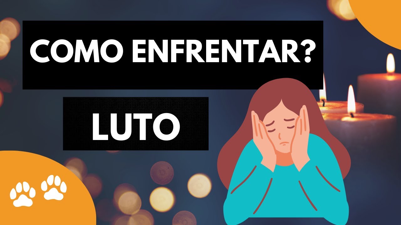 LUTO - Meu gato morreu - Como lidar com a perda do bichano?