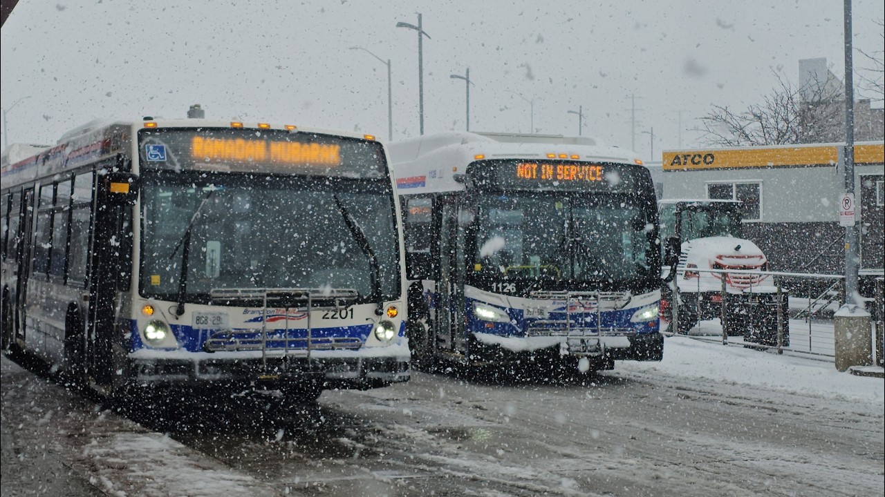 Foaming At Brampton Gateway!